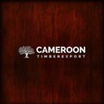 CAMEROON TIMBER EXPORT's Photo